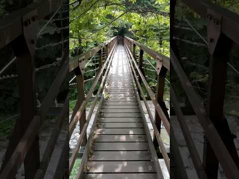 Narrow Bridge at Ojirakawa Canyon #尾白川渓谷 #八ヶ岳 #吊り橋