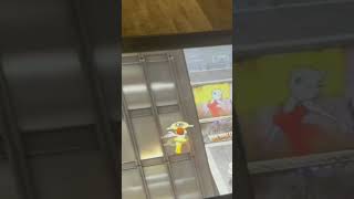 Hedge Gap 3/10 Difficulty