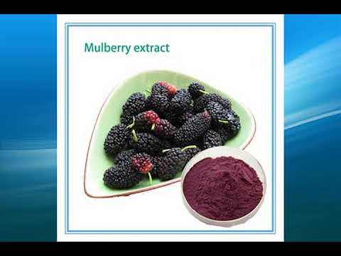 Mulberry Fruit Extract supplier,wholesale,factory,bulk