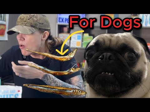 I ate my dog’s sardine treats! 🫣🫣