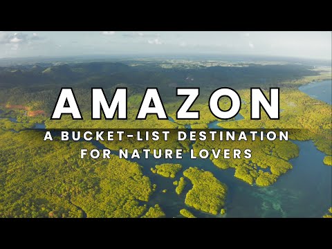 Amazon Rainforest: A Bucket-List Destination for Nature Lovers