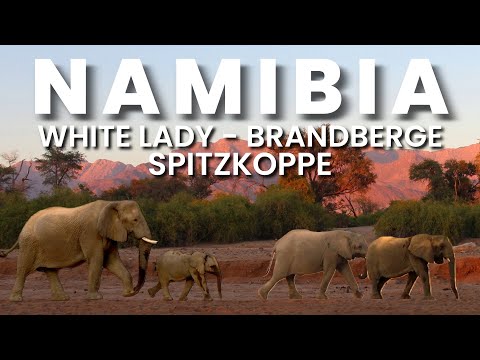 "Namibia Adventure: Desert Elephants at Brandberg & Sunset at Spitzkoppe | Afrikaans Travel Story"