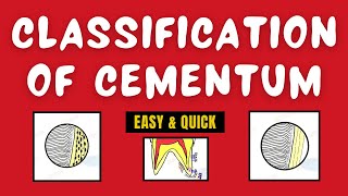 Types of Cementum | Classification of Cementum