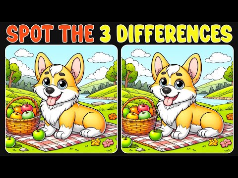 Spot The Difference : Time Challenge - Find 3 Fast! | Find The Difference #13