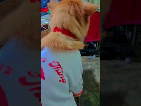 Its a rainy day but she never stops making sure we're safe❤️