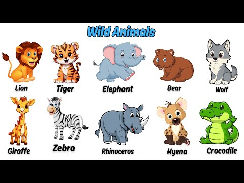 Wild Animals for Kids | Learn Animal Names and Pictures🦁🐯🐘 | JC Learning Kids  #kids #animal
