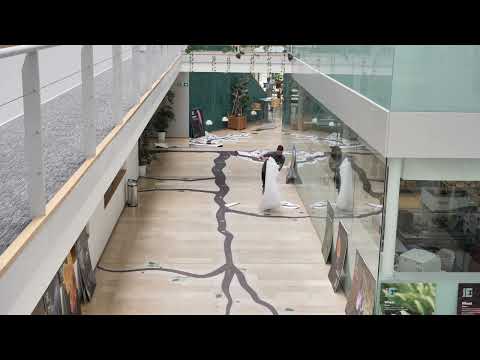 Open Day Tree of Life installation