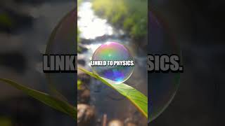 The Quizzical Science of Bubbleology