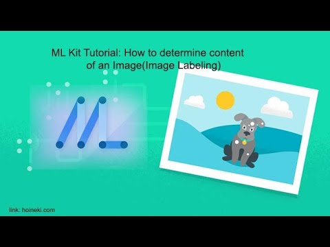 Demo | ML Kit Tutorial: How to determine content of an image(Image Labeling)