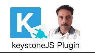 Develop plugin for keystoneJs