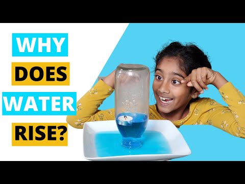 Why does water rise ? | Easy DIY science Experiments for kids