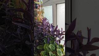 How I Found Peace on the Most Exhausting Day