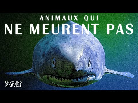 5 Creatures Who Outsmarted Death