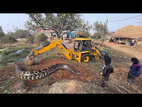 ‼️New JCB 3DX Eco in Mud Loading | Mahindra & New Holland Tractors with Trolley on Rough Tracks