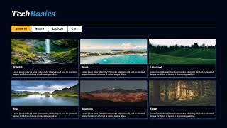 Filterable Image Gallery in HTML CSS & JavaScript | Portfolio Website