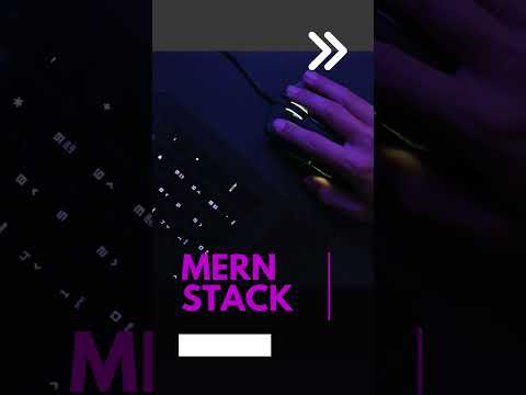 Learn java full stack. MERN stack