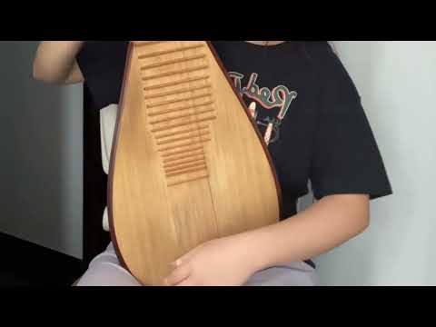 「晴るHaru - ヨルシカYorushika」pipa cover - Sousou no Frieren OP2
