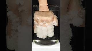 Freezing my hand in hot ice