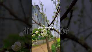 應該怎樣做人才能更適應這個社會 #為人處世 #悟人生之道 #有用內容創作計劃 #智慧人生 #人生感悟 #心灵感悟 #正能量