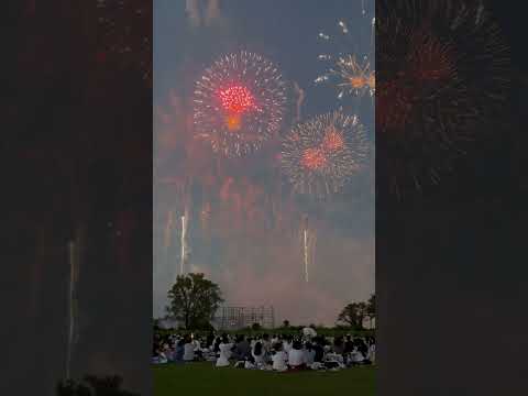 Itabashi fireworks 2025 #いたばし花火大会2025 #花火 #板橋