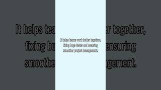 #softwareengineering #ai #cs #it #definition #software #basic #revision