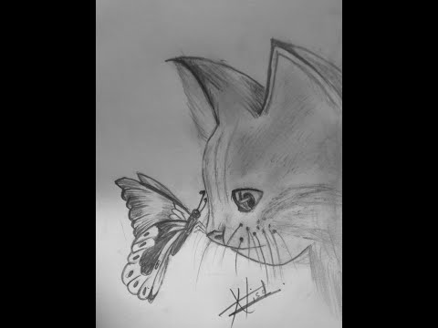 How to draw a cat with butterfly step by step for beginners 🎨