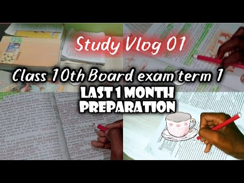 Study Vlog 1 🌸 A day before Preboard exam 🌸 Board exam preparation 🌸 term 1 🌸 #class10