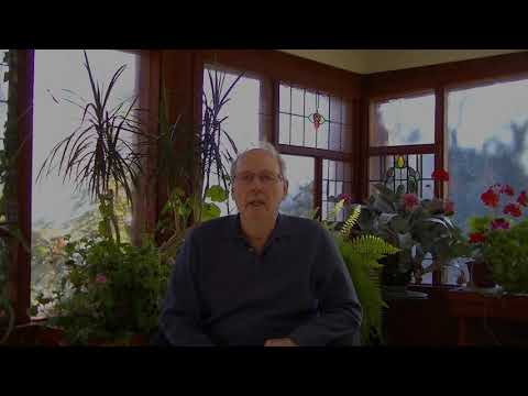 Movie 19a, the role of magnons in self induction