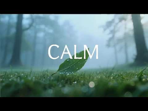 CALM   Soaking ambient instrumental  心灵净化·平复情绪波动，回归内心安宁