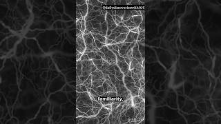 Why Do We Experience Déjà Vu? 🤯#dejavu #psychologyfacts  #mindscience  #neuroscience #facts #short