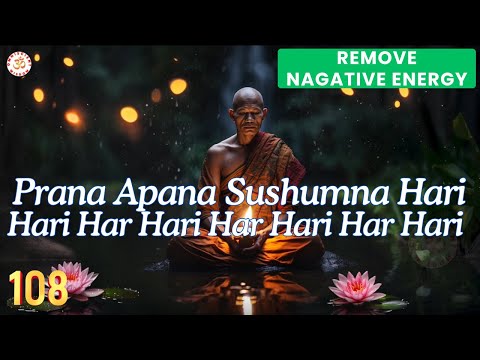 Prana Apana Sushumna Hari Mantra to Remove Negative Energies | Omniscient Wisdom 🌟🕉️