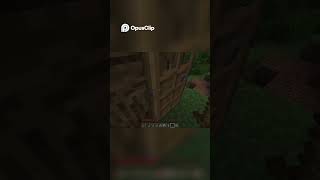 Minecraft shorts