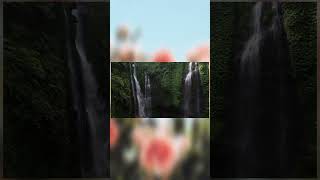 How To Win Friends And Influence People with NATURE Ways You Can Use NATURE To Become Irresistible
