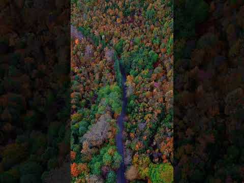 Autumn in northern Greece #youtubeshorts #drone #air3 #djiair3 #november #autumn