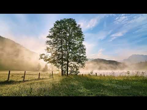 余日秋山 - 飛舞吧 , 櫻花