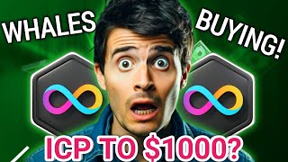Internet Computer ICP Price Prediction: Why $1000+ Is Possible (Institutional Accumulation Exposed)