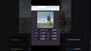 Image Filter property in CSS