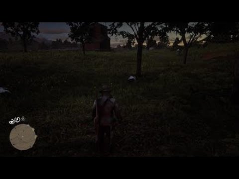 What In The Name of Amon Is That? / Red Dead Redemption 2