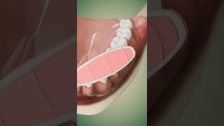 Modified Bass Method brushing technique  #dentalhygiene #toothbrush #3danimation #render  #blender