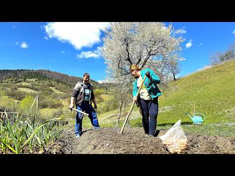 Spring Day in the Carpathians 🌿 | Rural Life of a Young Family 🏡