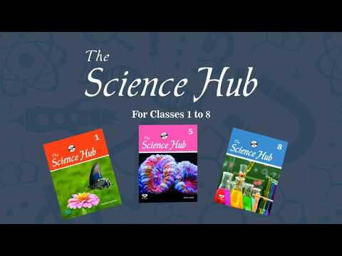 The Science Hub