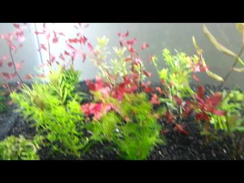 20130411_122644