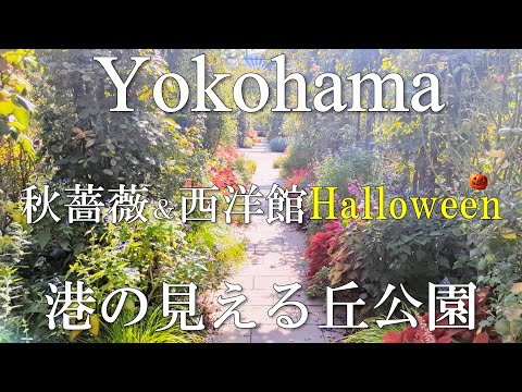 【横浜散歩】秋をめいっぱい楽しむ🌹🌾薔薇＆西洋館ハロウィン｜港の見える丘公園を巡る