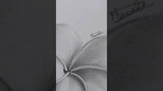 🌸 Periwinkle Texture Study #shorts #artist #manalidukhande #youtuber #realism #art #inspiration