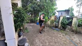 Reporting Video to Our Client: PEPPER (BELGIAN MALINOIS) REPORTING VIDEO