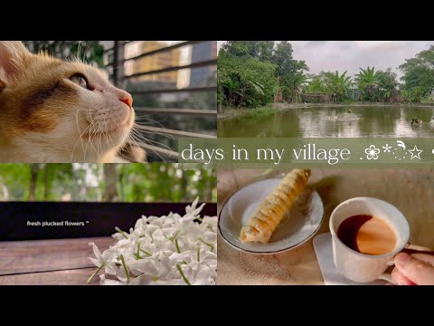 Slice of life 🌷: my village days 🌤️ ┊life struggles, aesthetic vlog , what i eat, daily vlog