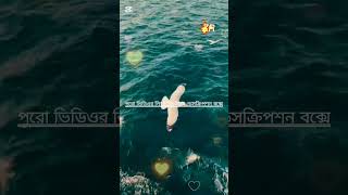 প্রথম ওয়াহীর ঘটনা। #বাংলাহাদিস #হাদিসের_বাণী #হাদিসের_কথা #রাসুলেরবাণী