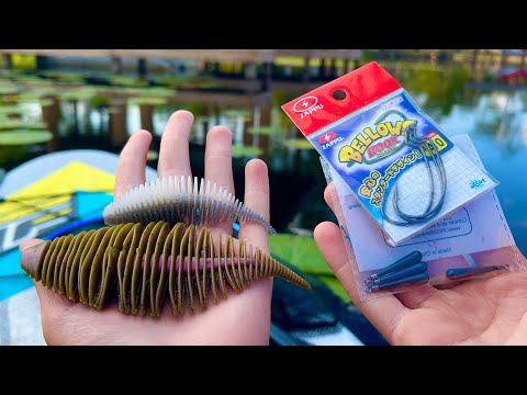 Is This The EASIEST Way To Catch Fish?!