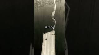 "Galloping Gertie" #GallopingGertie #TacomaNarrowsBridge #EngineeringHistory #BridgeCollapse