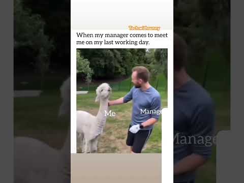 Subscribe for fun #funny #viral #trending #shorts